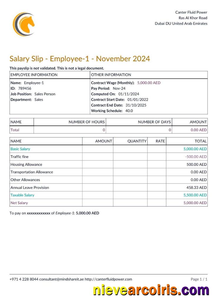 Canter Fluid Power payslip